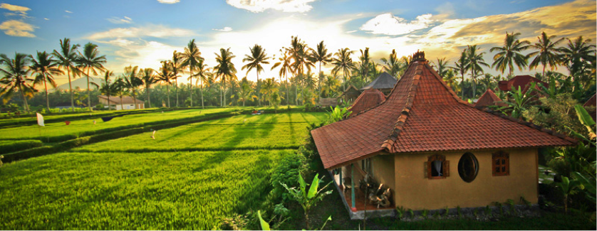 ubud-dgf